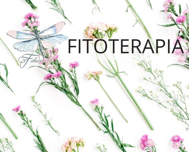 Começou HOJE a Exposição He For She! Eles Por Elas! Henrique Vieira Filho homenageia o Sagrado Feminino